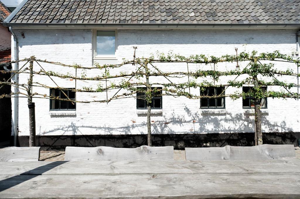 Cour 8 Lofts Konuk evi Maastricht Oda fotoğraf